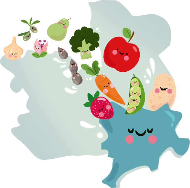 Mapa-frutas