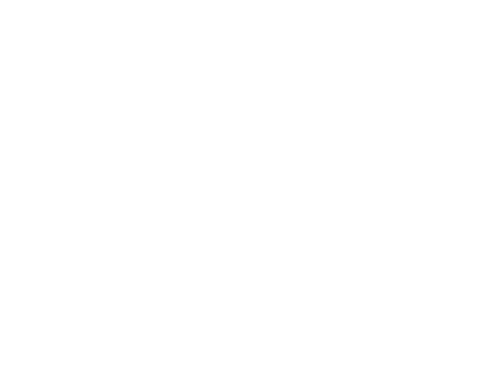 iniesta blanco