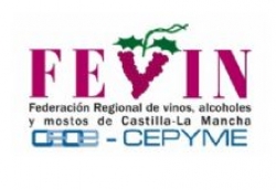 Fotografía de Resumen de la Jornada FEVIN – FEV. 25 de octubre de 2019, ofrecida por FEDA