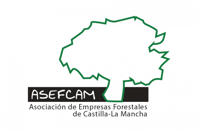 ASEFCAM teme por el futuro de la economía forestal en Castilla-La Mancha