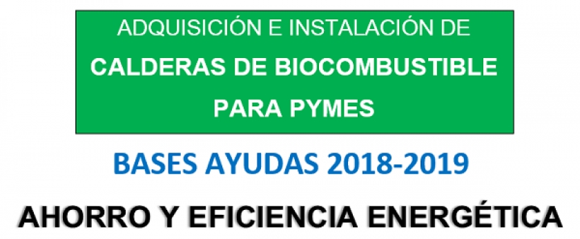 Convocatoria de ayudas de Calderas de Biocombustible para pymes 2018/2019