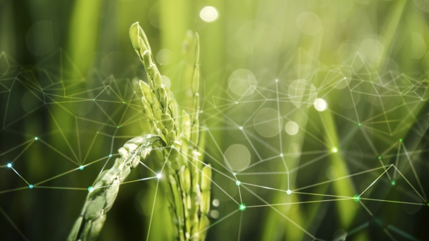 Fotografía de Plazas para empresas agroalimentarias innovadoras en la feria Anuga FoodTec 2027, ofrecida por FEDA