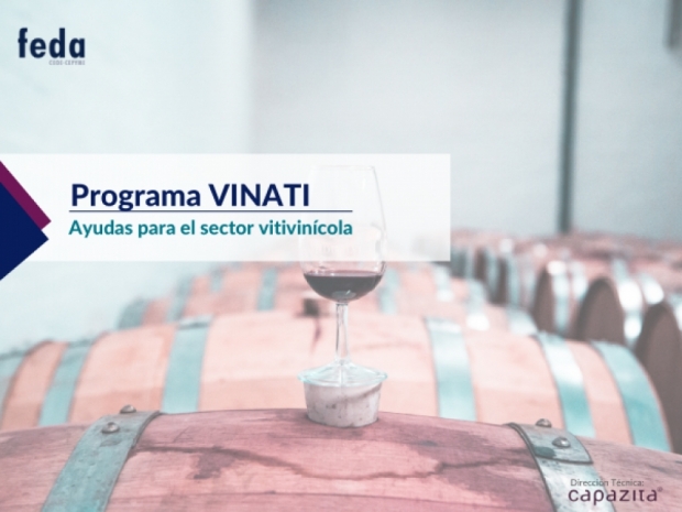 Fotografía de Ayudas a Inversiones en Infraestructuras del Sector Vitivinícola  VINATI 2021, ofrecida por FEDA