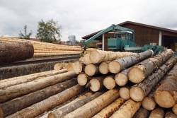 Fotografía de Publicado el Real Decreto 1088/2015 para asegurar la legalidad de la comercialización de madera y productos de la madera., ofrecida por FEDA
