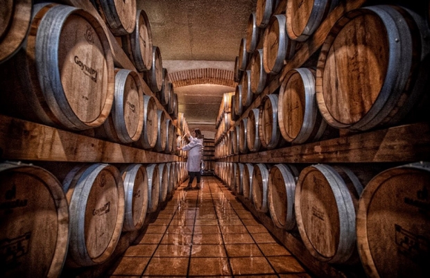 Fotografía de GOYVAL VINAGRES.  Del Vinagre artesanal a la exportación de vinagre con la mejor tecnología, innovación y calidad., ofrecida por FEDA