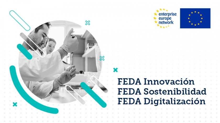 Servicio de Gestión de la Innovación en FEDA