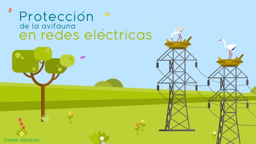 Informe sobre el aislamiento de los cortacircuitos XS para proteger la avifauna