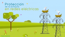 Fotografía de Informe sobre el aislamiento de los cortacircuitos XS para proteger la avifauna, ofrecida por FEDA