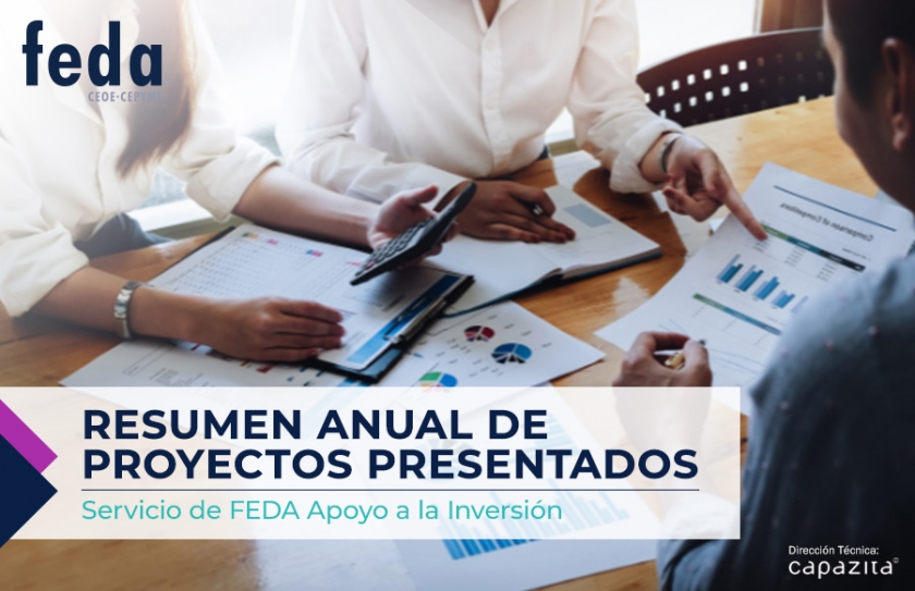 Resumen anual de proyectos presentados por el Servicio de FEDA Apoyo a la Inversión